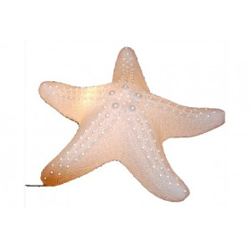 Lámpara estrella de mar