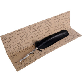 Set escritura pluma ave negro