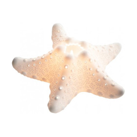 Vela estrella de mar