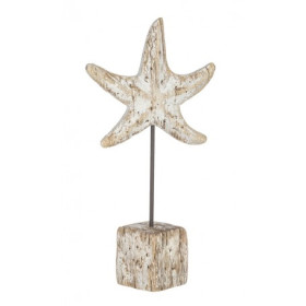 Estrella de mar decorativa