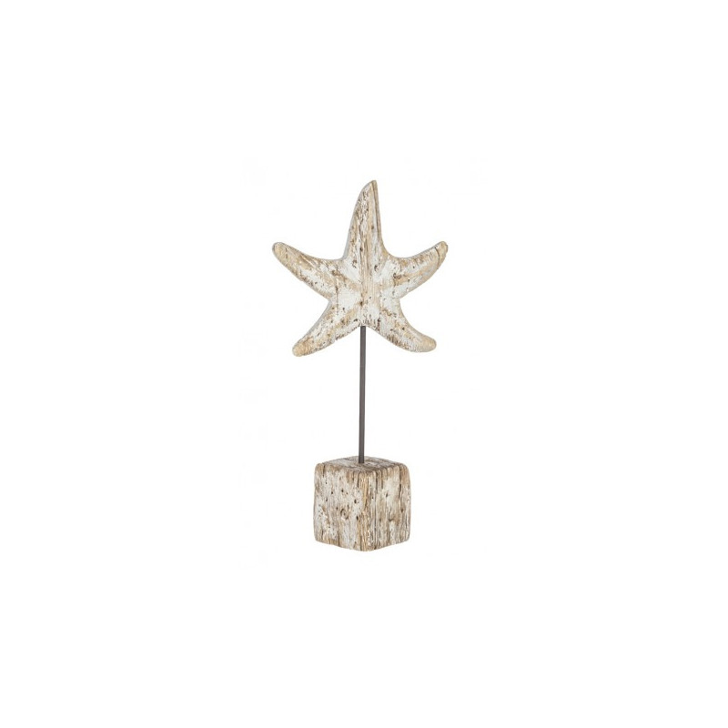 Estrella de mar decorativa