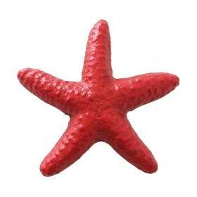 Estrella de mar