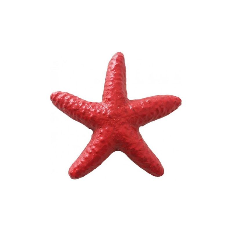 Estrella de mar