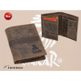 Cartera Dakar jujuy clásica marrón z038