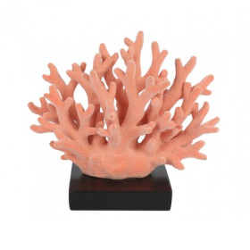 Coral Marino Decorativo