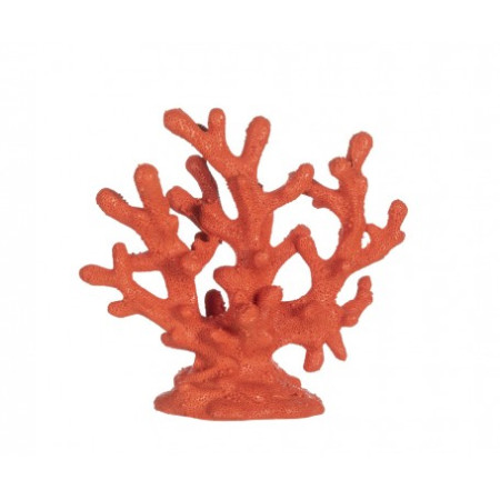 Coral Marino Decorativo