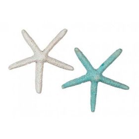 Estrellas De Mar