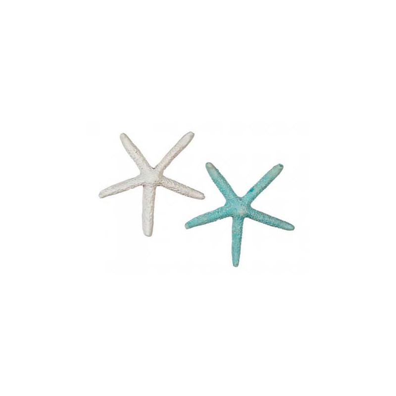 Estrellas De Mar